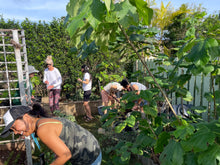 Load image into Gallery viewer, Kapa Workshops