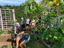 Load image into Gallery viewer, Kapa Workshops