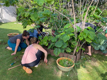 Load image into Gallery viewer, Kapa Workshops