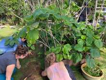 Load image into Gallery viewer, Kapa Workshops