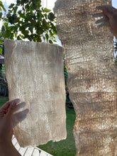 Load image into Gallery viewer, Kapa Workshops