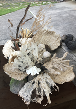 Load image into Gallery viewer, Maikohā